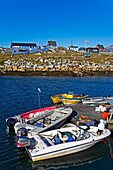 Boat Marina At Port Of Nanortalik On Island Of Qoornoq; Province Of Kitaa, Southern Greenland, Kingdom Of Denmark