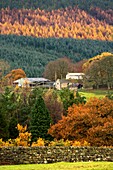 Malerische Herbstlandschaft mit Landhäusern; England, Großbritannien