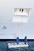 Männer streichen ein Schiff; Charlotte Amalie, St. Thomas Island, U.S. Virgin Islands