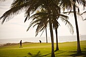 Golfers Playing In Estella Del Mar Golf Country Club, Robert Trent Jone Jr. Championship Course Design; Mazatlan, Sinaloa, Mexico