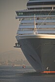 Frau Oosterdam Kreuzfahrtschiff im Kreuzfahrtterminal, Mazatlan; Mazatlan, Sinaloa, Mexiko