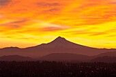 Sonnenaufgangshimmel über Mt. Hood; Portland, Oregon, Usa