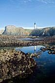Low Tide At Yaquina Head Lighthouse; Yaquina Head Outstanding Natural Area, Newport, Oregon, Usa