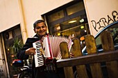 Straßenmusikant spielt Akkordeon; Rom, Italien