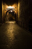 Verona Old Town At Night; Italy