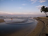 Spaziergänger mit Hund am Strand; Arabisches Meer, Kerala, Indien