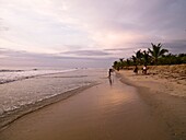 People Walking On Sandy Beach At Sunset; Arabian Sea, Kerala, India