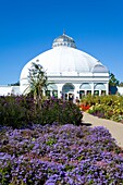 Botanische Gärten; Buffalo, New York State, Usa