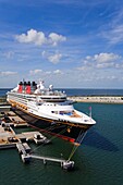 Disney Cruise Ship; Cocoa Beach, Florida, Usa