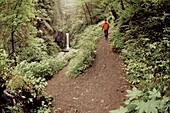 Serpintine Trail; Multnomah Creek, Columbia River Gorge, Oregon, USA