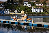 Boot im Hafen; Tarbert, Schottland, Vereinigtes Königreich