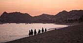 People Riding Horses On Beach At Dusk; Los Cabos, Mexico