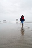 Hiker At Second Beach In Olympic National Park; Washington State, Usa