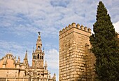 Giralda-Turm und Kathedrale mit Mauern des Real Alcazar; Sevilla, Provinz Sevilla, Spanien