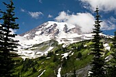 Niedriger Blickwinkel von Mt. Rainier; Mt. Rainier National Park, Washington State, Usa