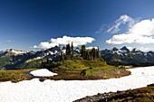 Tatoosh Mountains In Sprong Season; Mt Rainier National Park, Washington State, Usa