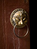 Ornate Bras Doorknob