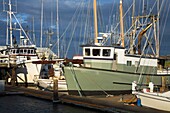 Port Townsend Jachthafen; Washington State, Usa