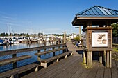 Percival Landing Park; Olympia, Washington, Usa