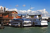 Tour Boats At Pier 55; Seattle, Washington State, Usa