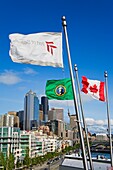 Bell Street Pier Flags; Seattle, Washington State, Usa