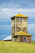 Salmagundi Farm; Whidbey Island, Washington State, Usa