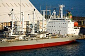 Puerto Quetzal, Guatemala, Central America; Moored Freighter In Port