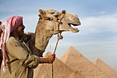 Ein Mann in der Wüste mit einem Kamel und den Pyramiden im Hintergrund; Kairo, Ägypten, Afrika