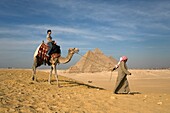 Ein Führer, der ein Kamel und einen Reisenden bei den Pyramiden führt