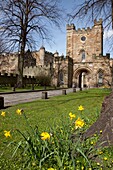 Burg Durham; Durham, England