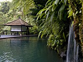 Tropische Hütte in einer Lagune, Bali