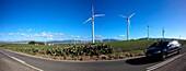 Roadside Wind Turbines, Zahara De Los Atunes, Cadiz, Spain