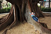 Junger Junge auf den großen Wurzeln eines alten Baumes liegend, Cádiz, Spanien