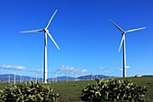 Wind Turbines, Zahara De Los Atunes, Spain