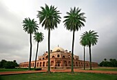 Gebäude mit Palmen im Vordergrund; Neu-Delhi, Indien