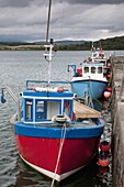 Fischerboote, Garleston, Dumfries und Galloway, Schottland
