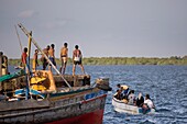 Young Boys Jumping Into The Sea By The Jetty At Lamu, Kenya, East Africa