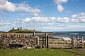 Rural Fence With Dunstanburgh Castle; Northumberland, England