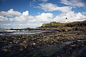 Lighthouse On Rocky Shoreline