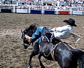 Bareback Rider, Calgary Stampede, Calgary, Alberta, Canada