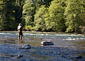 Mann im Fluss, Elk Falls; British Columbia, Kanada