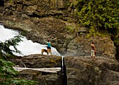 Genießen Sie die Aussicht, Elk Falls, British Columbia, Kanada