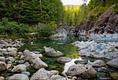 Elk Falls Provincial Park, Britisch-Kolumbien, Kanada