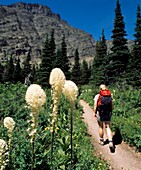 Hiking In The Rocky Mountains,Waterton, Alberta, Canada