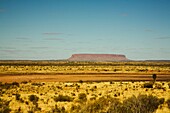 Mount Connor, Australia