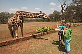 Kinder mit Giraffe, Kenia, Afrika
