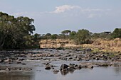 Mara-Fluss, Maasai Mara, Kenia, Afrika