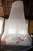 Sleeping Under Netting, Manda Bay Resort, Lamu Archipelago, Kenya, Africa