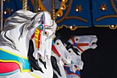 Merry-Go-Round Horses; Calgary, Alberta, Canada