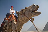 Junge Touristin auf einem Kamel bei den Pyramiden von Gizeh, Kairo, Ägypten